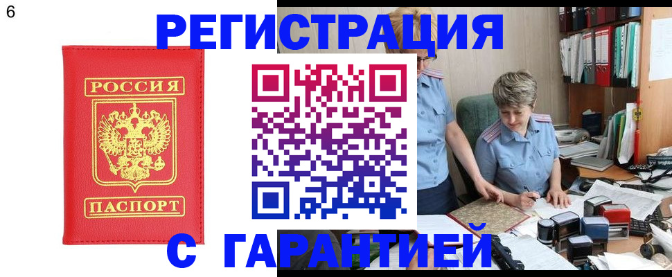 временная регистрация поиск в Луге